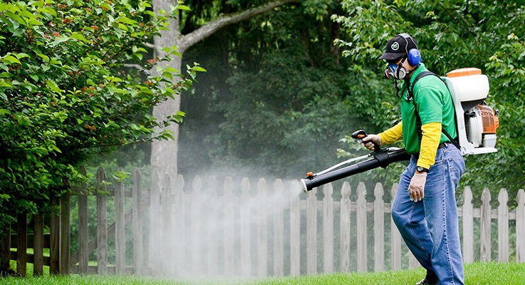 Bahçe ve Peyzaj İlaçlama